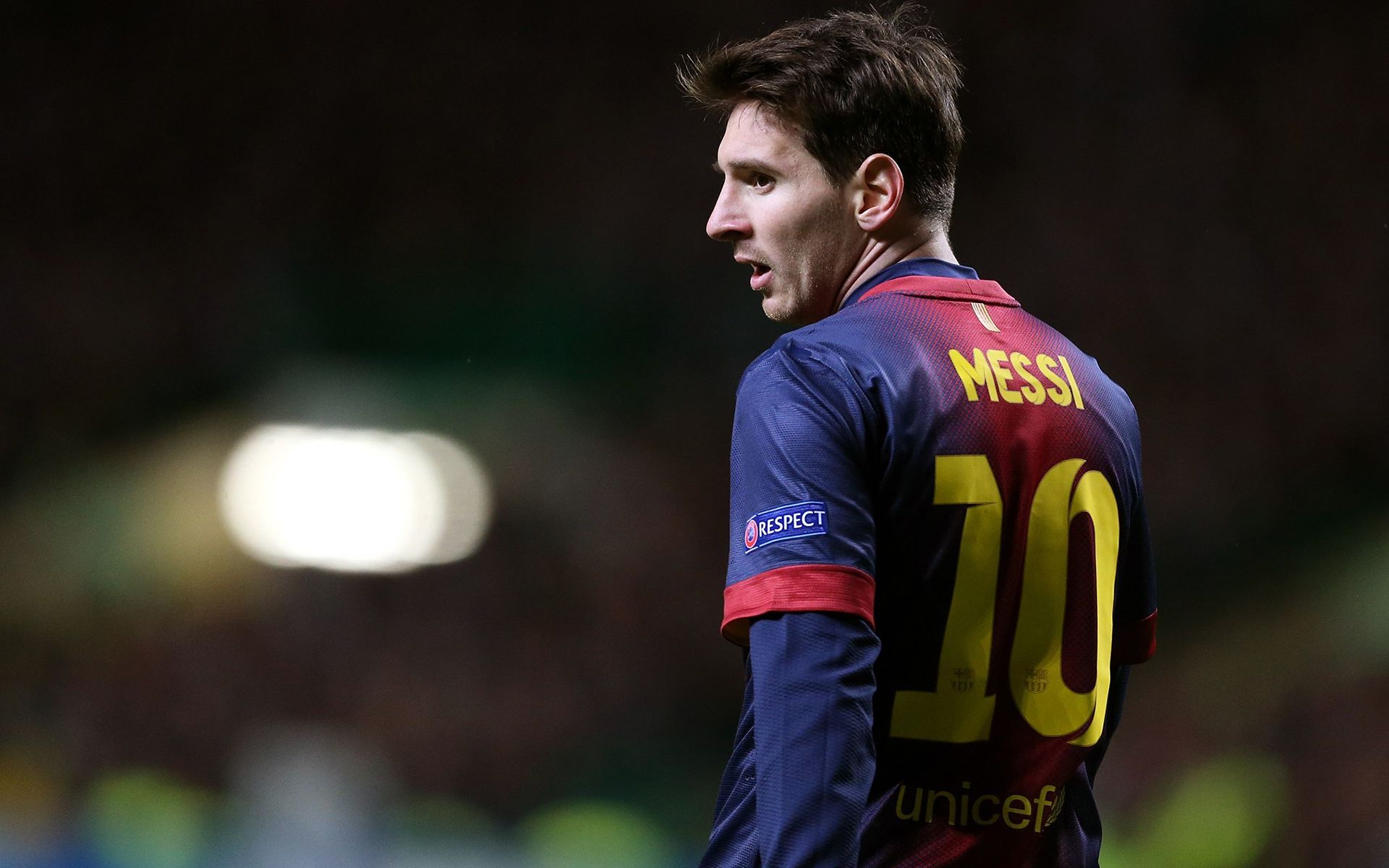 期5年的合 期5年的合