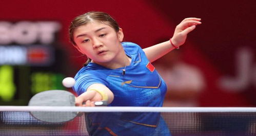 后防稳固 后防稳固